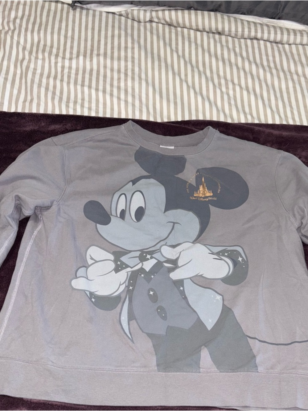 Walt Disney World Disney Parks 50th Anniversary Sweatshirt Grey XL - Picture 2 of 5